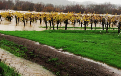 Geyserville Planning Committee – October 25, 2022 Meeting