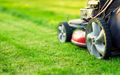 Guidelines For Safe Weed-Eating/Grass Cutting and Other Recommendations